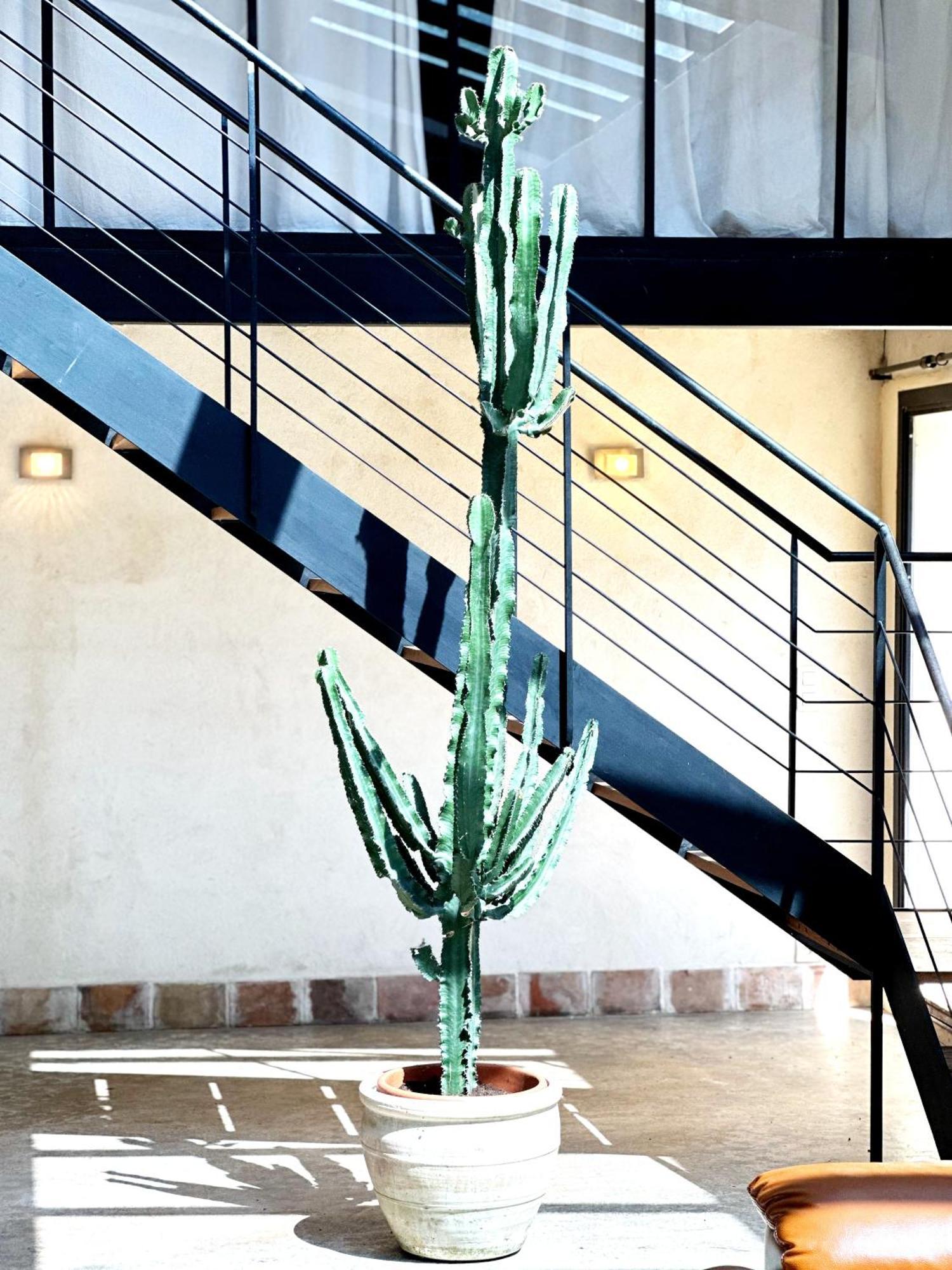Magnifique Loft - Piscine - Tennis - Babyfoot นีมส์ ภายนอก รูปภาพ